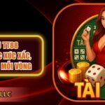 Tài xỉu TT88