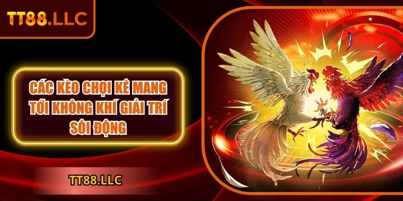 Các kèo chọi kê mang tới không khí giải trí sôi động